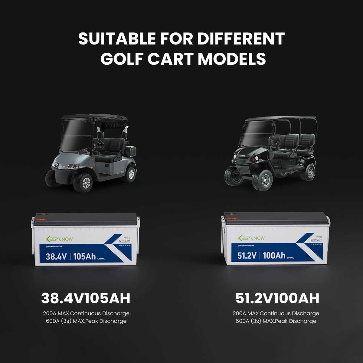 KeepKnow 48V 100Ah LiFePO4 Lithium LiFePO4 Golf Cart Battery